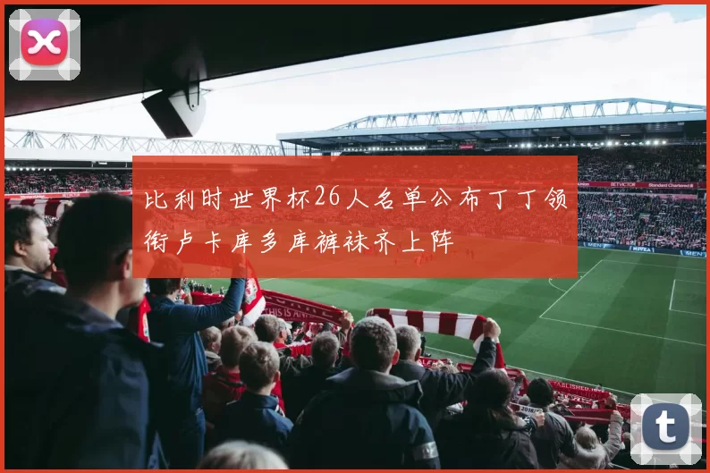 比利时世界杯26人名单公布丁丁领衔卢卡库多库裤袜齐上阵