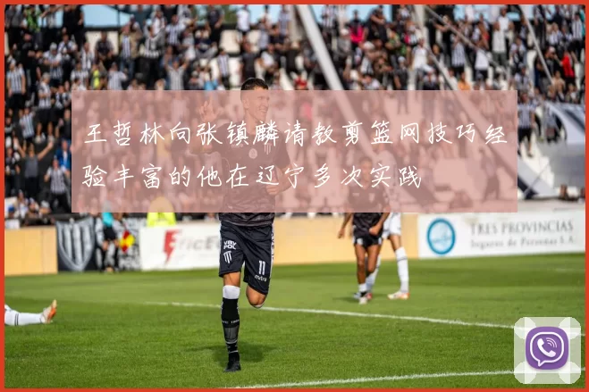 王哲林向张镇麟请教剪篮网技巧经验丰富的他在辽宁多次实践